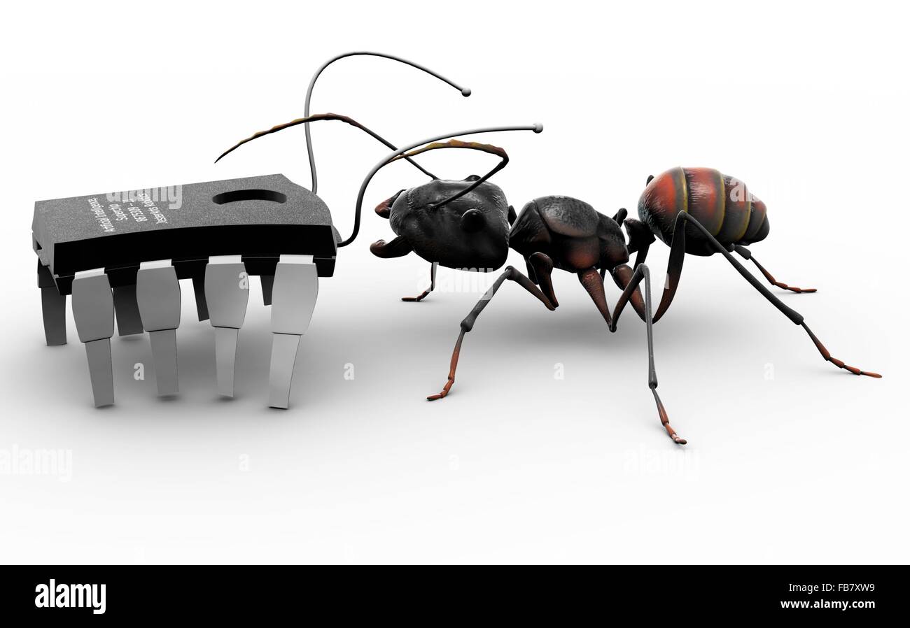 An ant meeting a computer bug, which is a microchip with antennas and  walking on its conductors Stock Photo - Alamy