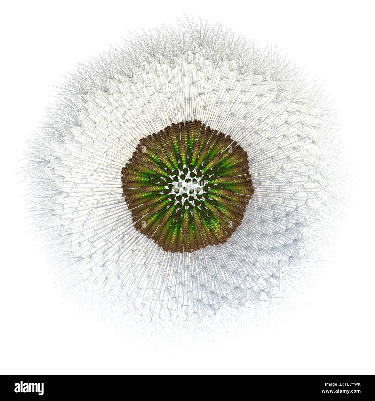 3d generated dandelion seeds, with hair particles acting as the wind catchers distinctive of dandelion seeds. Experiment with go. Stock Photo