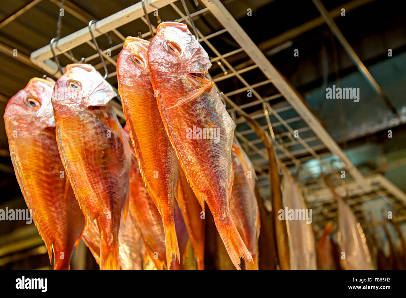 Dried fishes hanging for sales. Stock Photo