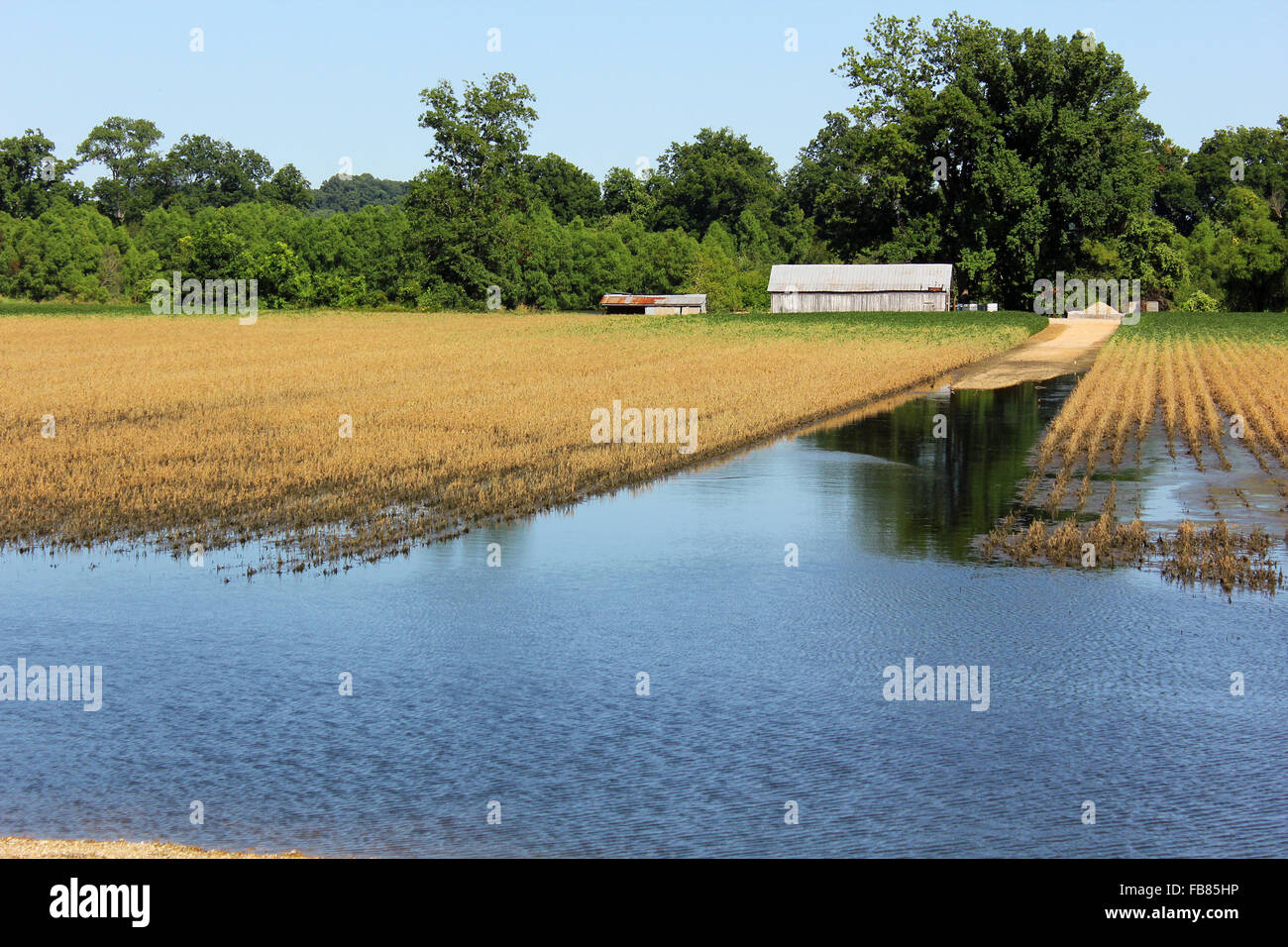 Flooded farm Stock Photo