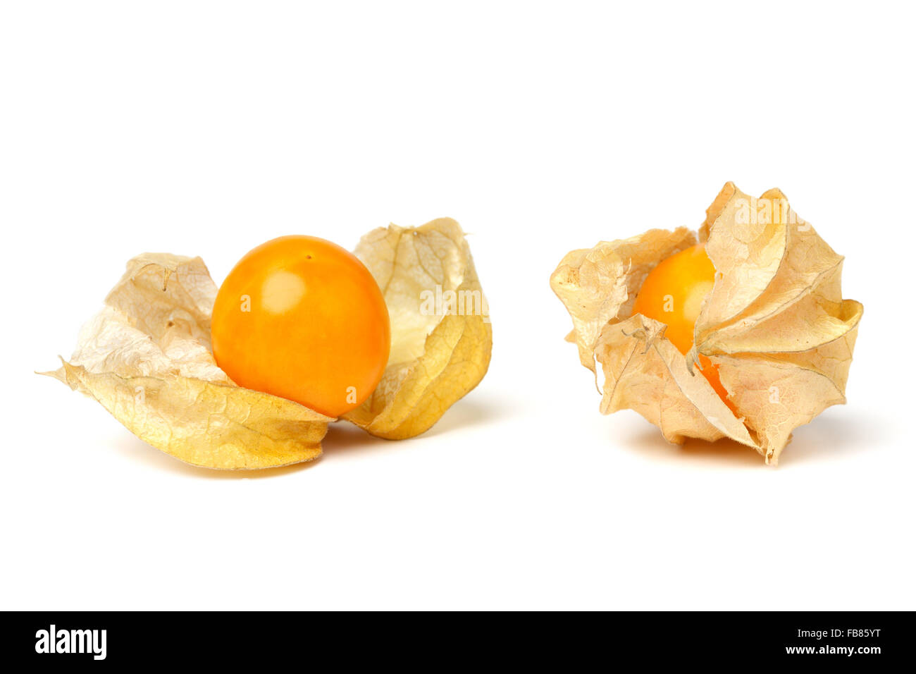 cape gooseberry physalis fruit ground cherry organic food vegetable ...