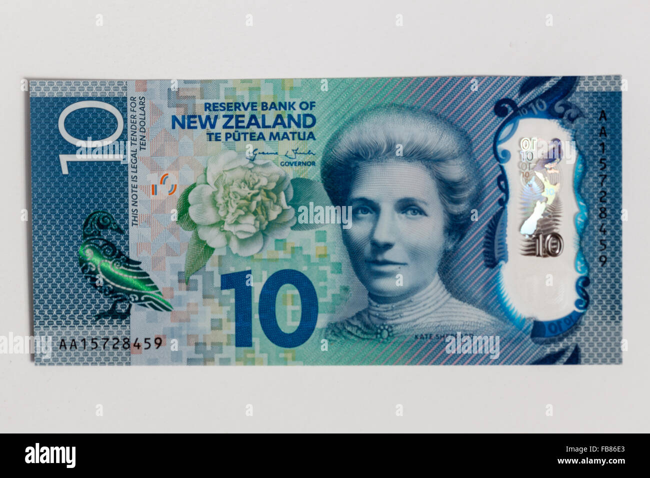 Kate Sheppard on new updated plastic polymer ten kiwi dollar $10  New Zealand  bank notes NZD Stock Photo