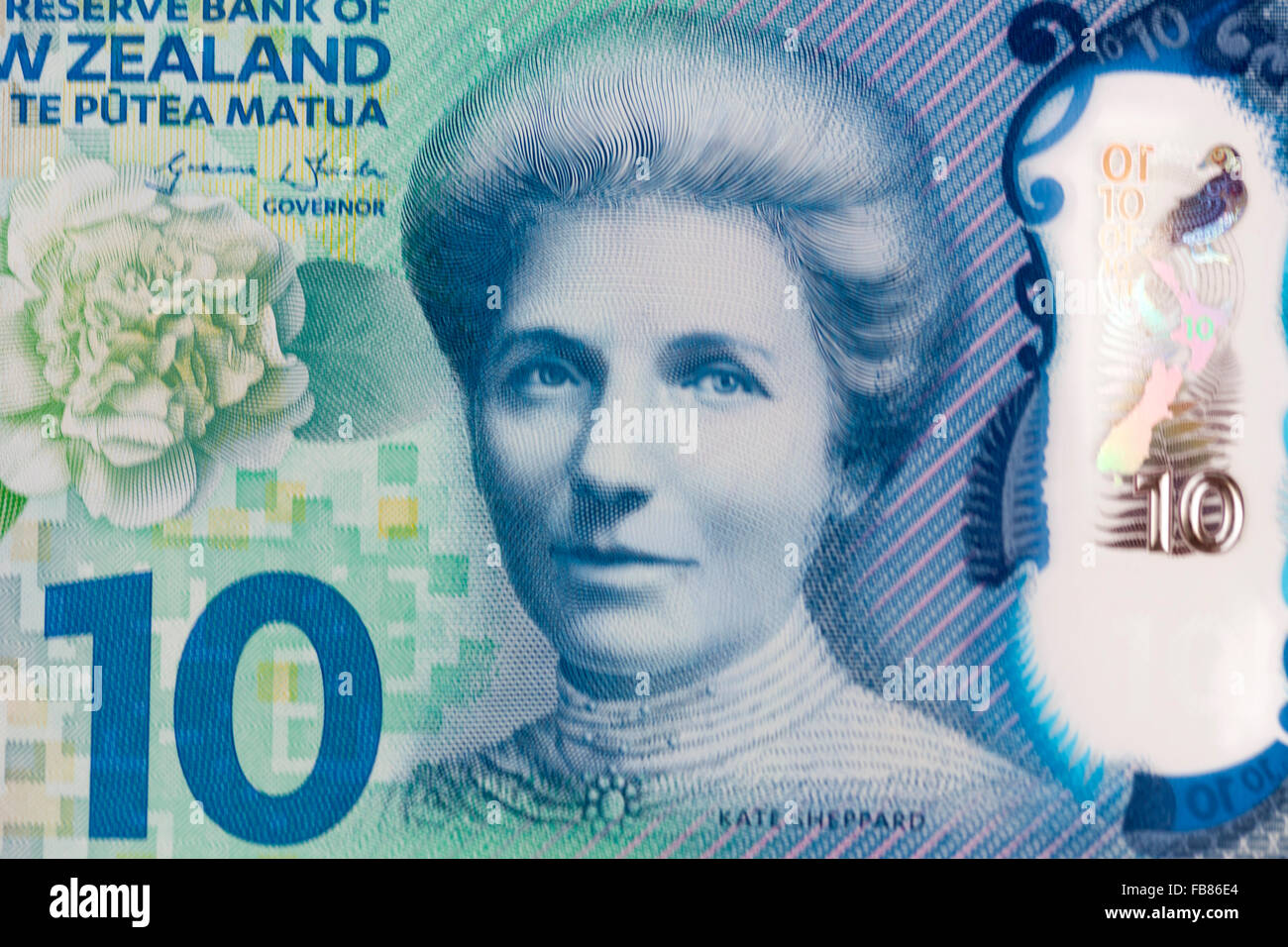 Kate Sheppard on new updated  ten dollar $10  New Zealand  polymer kiwi dollar bank notes NZD Stock Photo