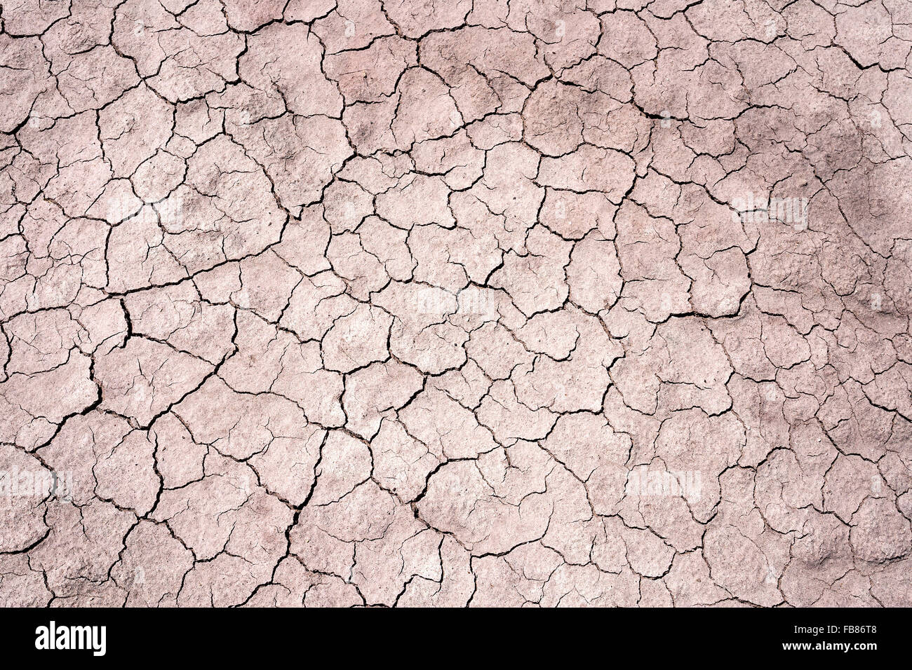 Dried earth, dry cracks in clay surface, at Cameron, Arizona, USA Stock Photo