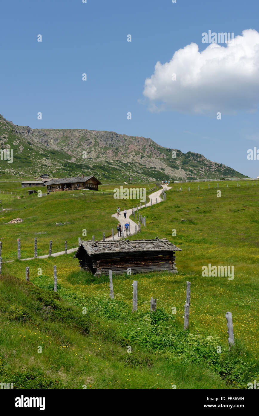 Alpine huts on the way to the Totenkirchlein chapel, Villanders alpine pasture, Villanders, Eisacktal, South Tyrol, Alto Adige Stock Photo