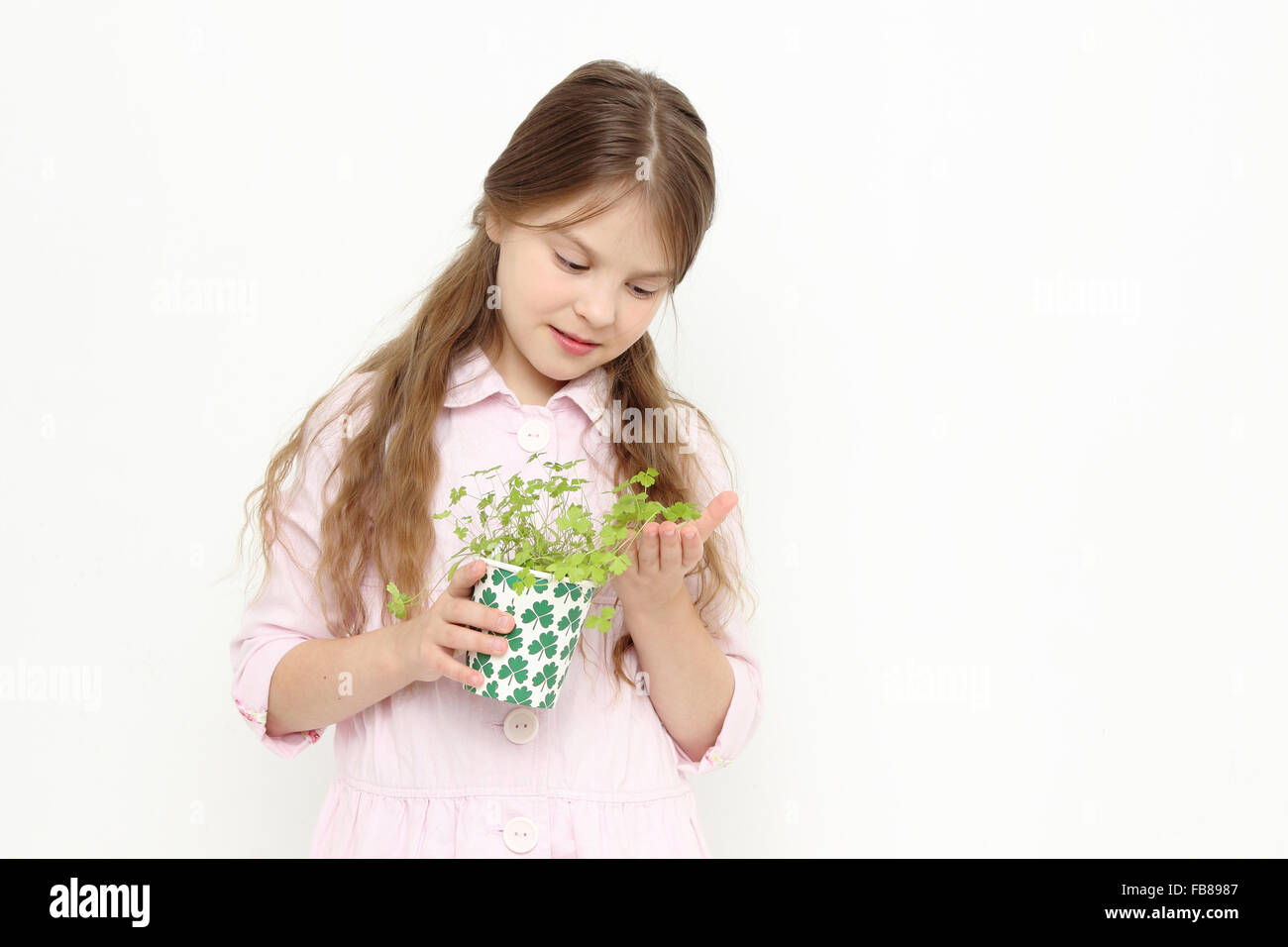 Kid holding parsley Stock Photo Alamy