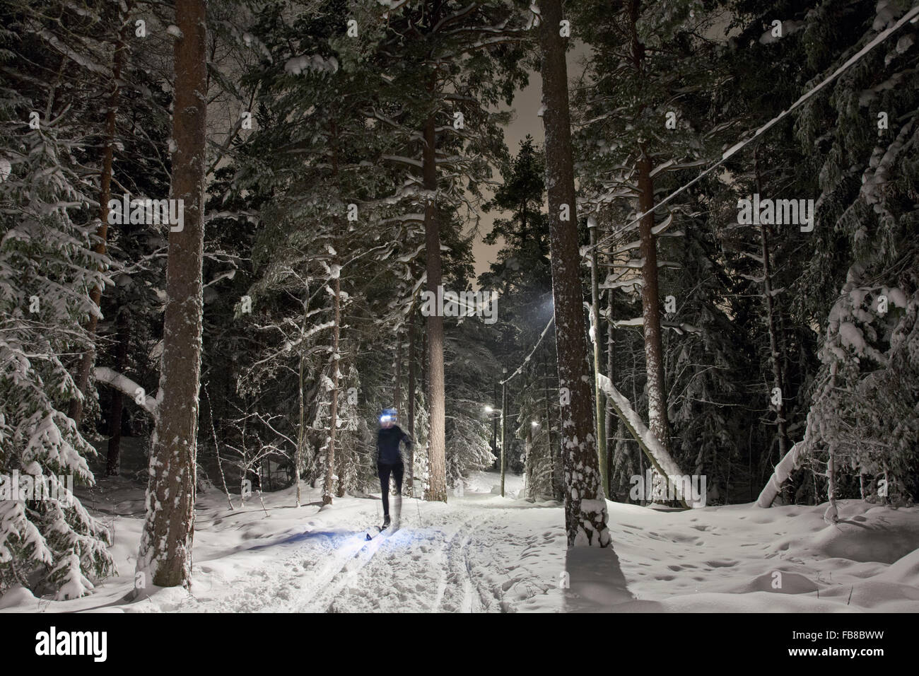 Sweden, Sodermanland, Stockholm, Skarpnack, Nackareservatet, Woman skiing in forest Stock Photo