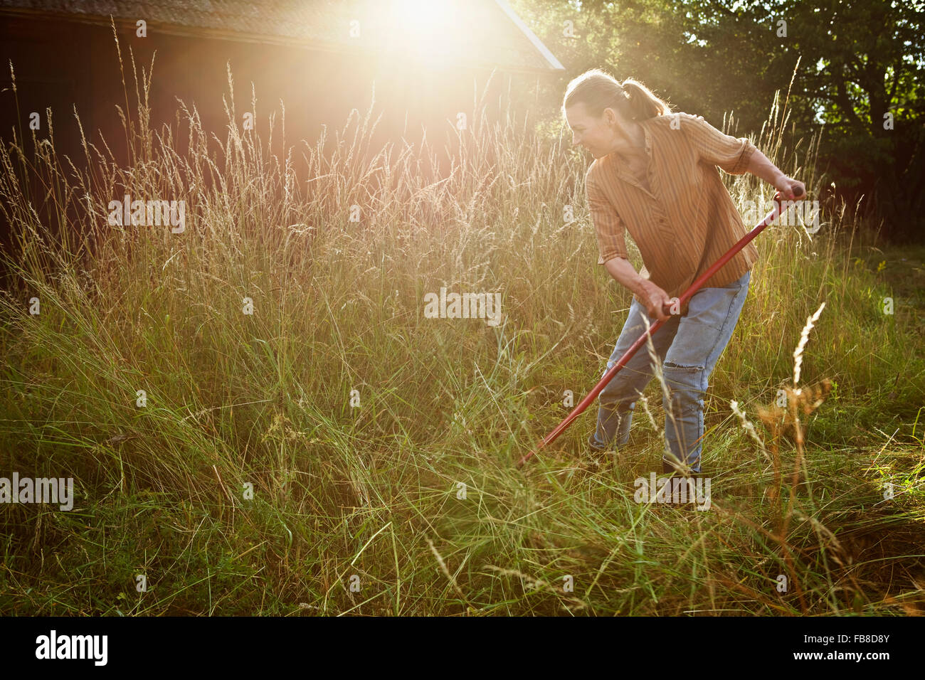 Sweden, Smaland, Alsterbro, Female farmer cutting grass Stock Photo