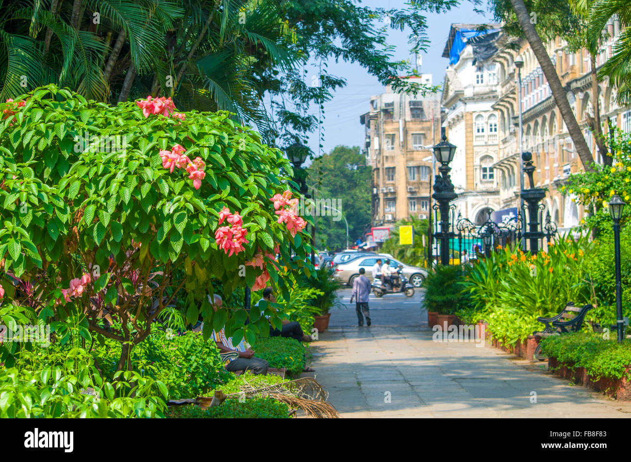 garden of plants and flowers Horniman in the city of Mumbai,india,a