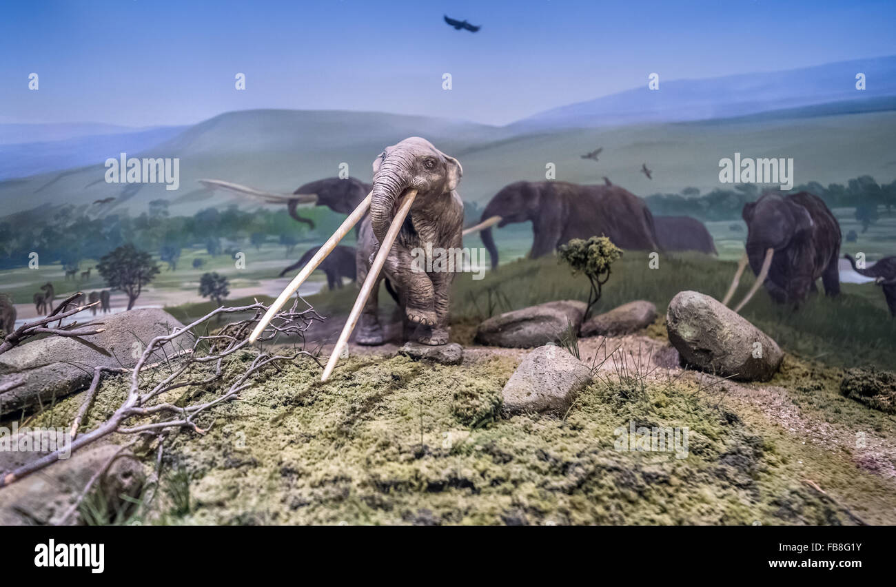 Small model of elephants in ancient times. Stock Photo