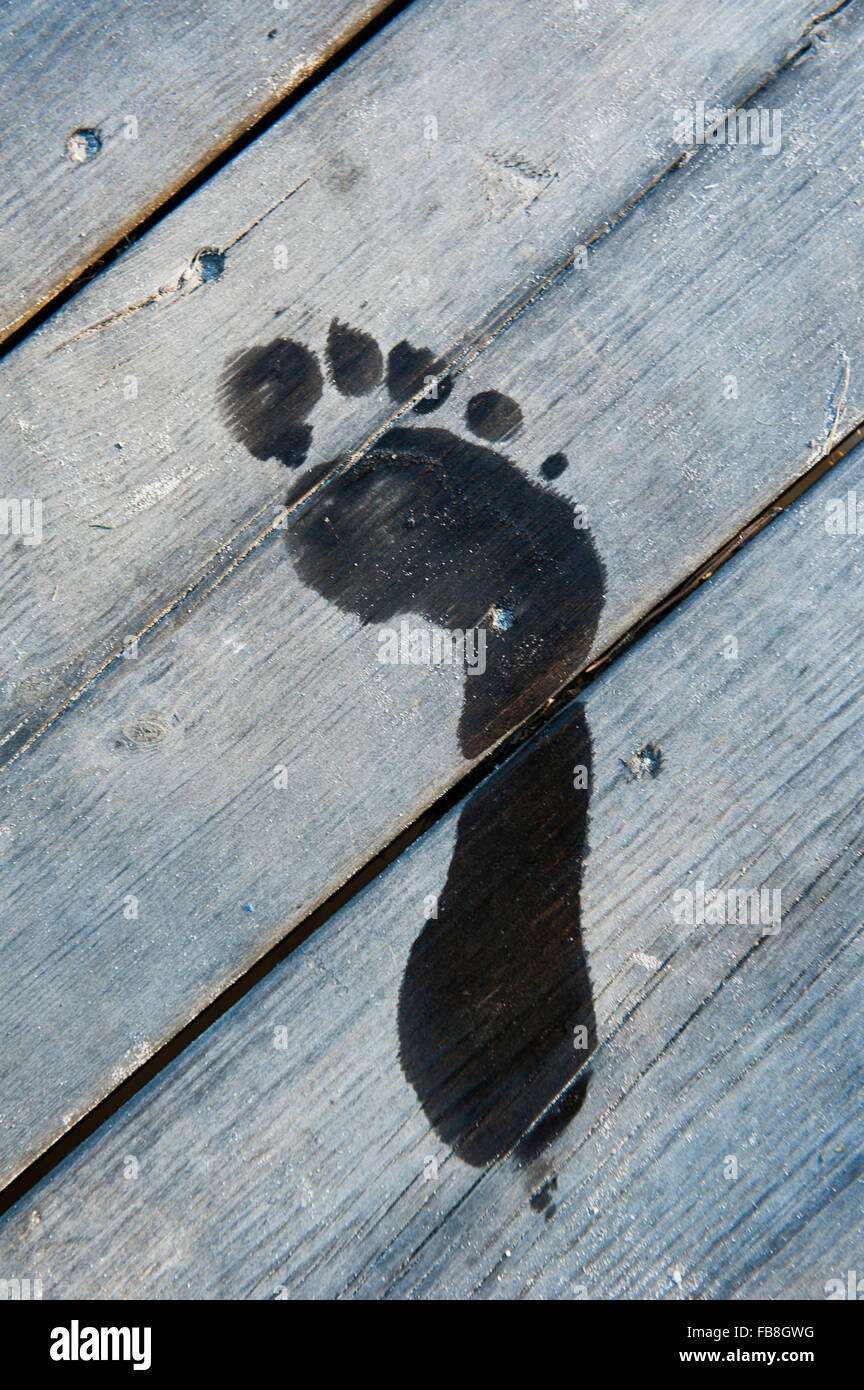 Sweden, Vastra Gotaland, Kallandso, Wet footprint on boardwalk Stock Photo