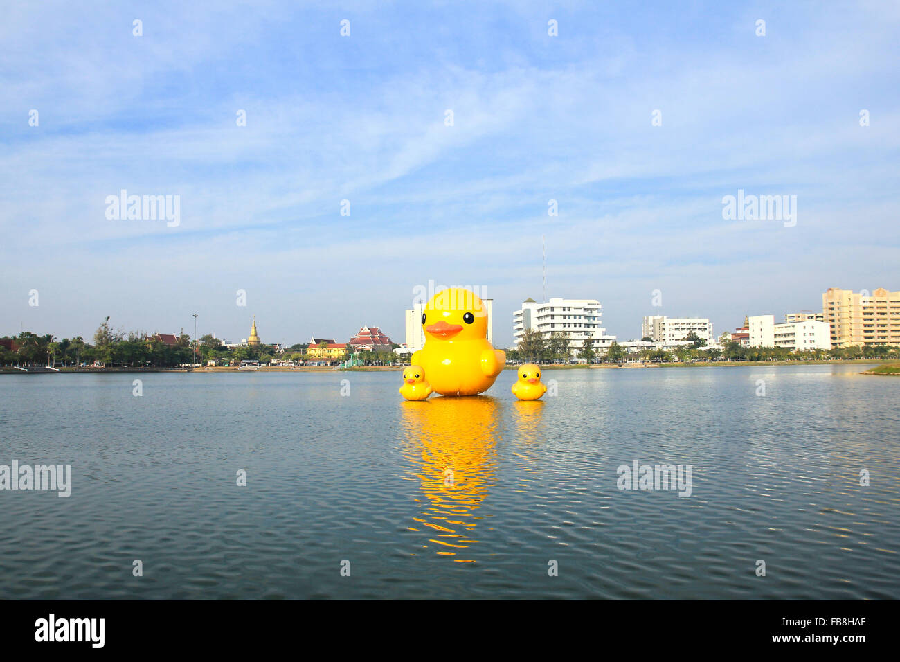 The yellow ducks is the most populars view for photos. The park of big provinces is famous ,Udonthani ,Thailand. Stock Photo