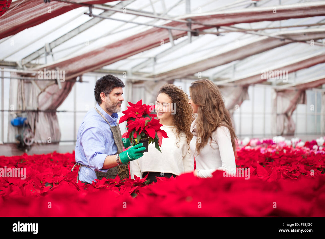 florist working in retail Stock Photo Alamy