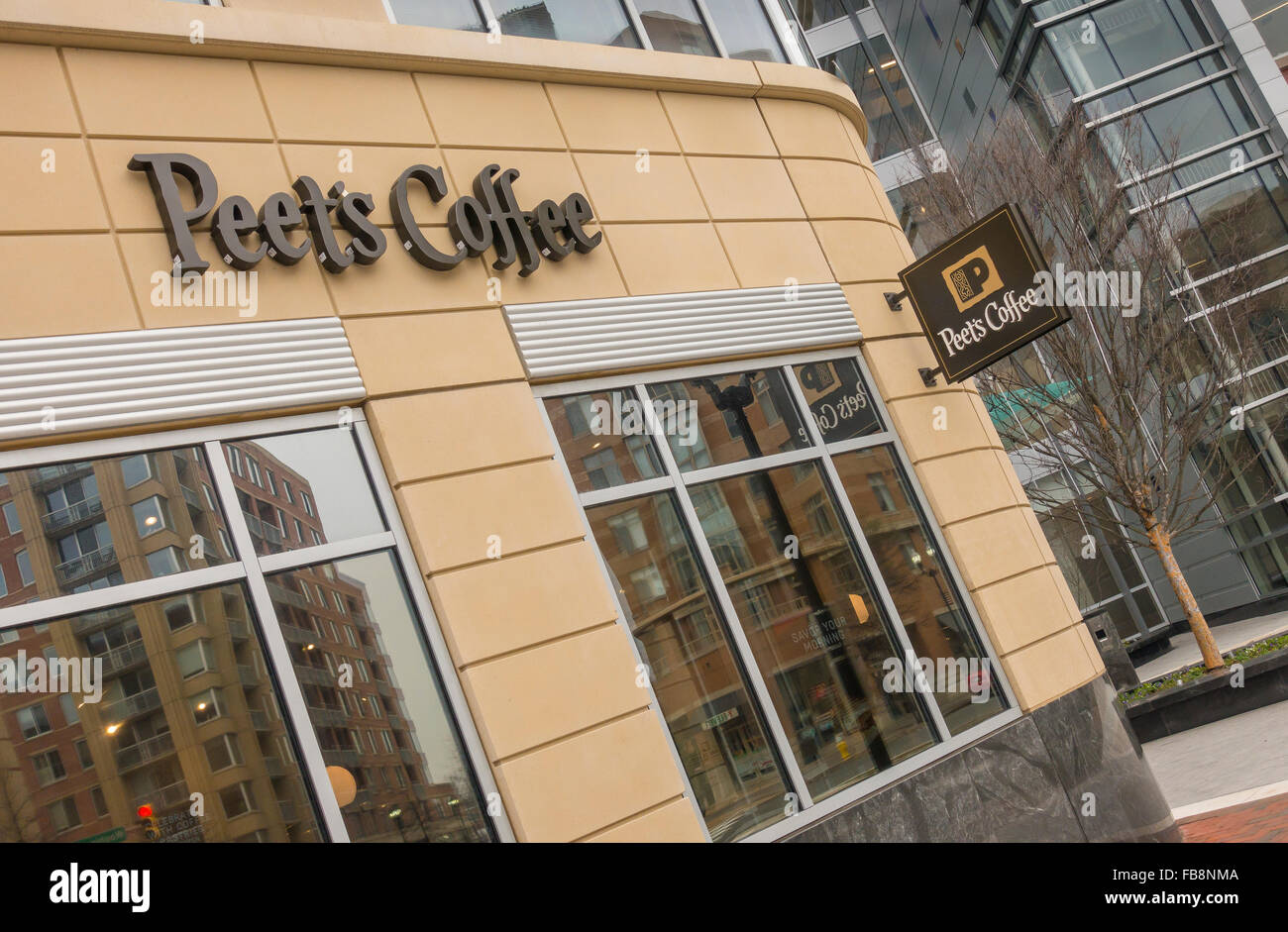 ARLINGTON, VIRGINIA, USA Peet's Coffee shop signs in Clarendon