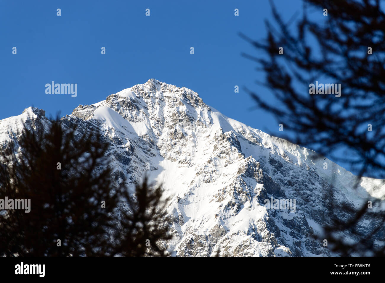 Ortler | Ortles Stock Photo - Alamy
