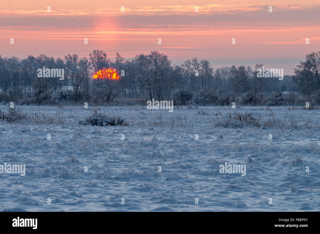 sunrise at snowy frosty field cold temperature Stock Photo
