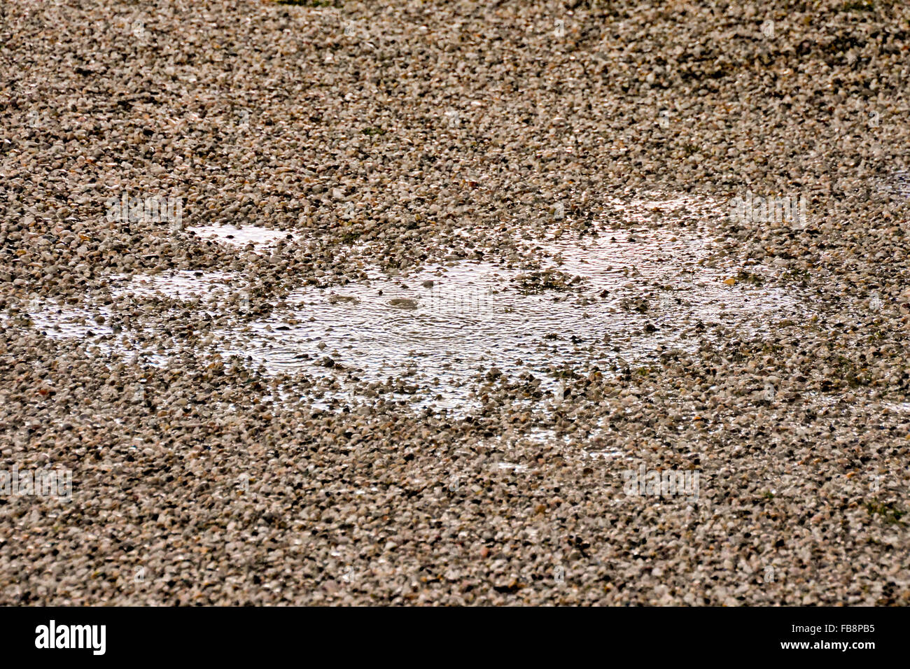 Puddle of water and raindrops Stock Photo - Alamy