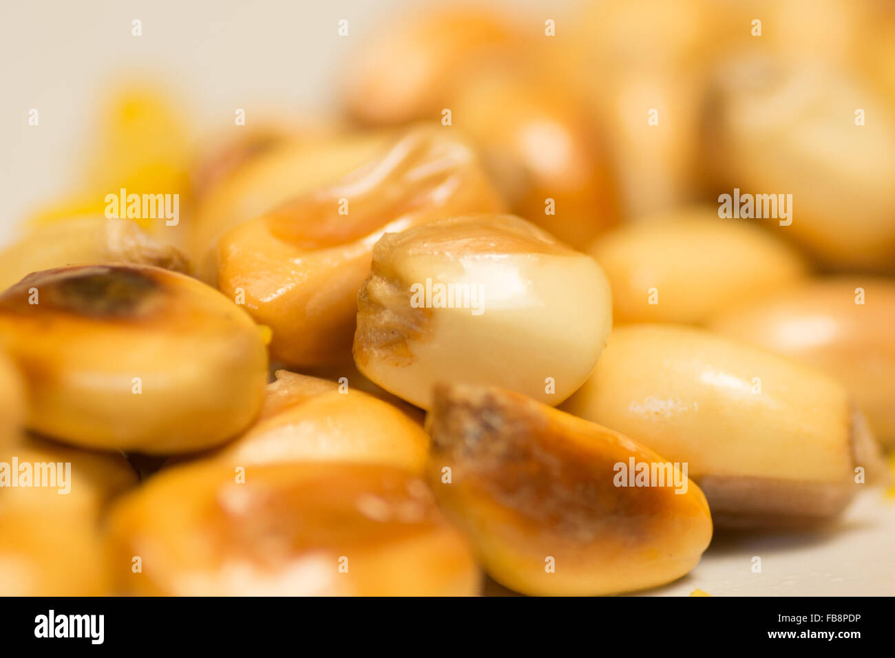 Cancha - toasted corn kernels that are a typical snack and accompaniment to many traditional dishes in Peru Stock Photo