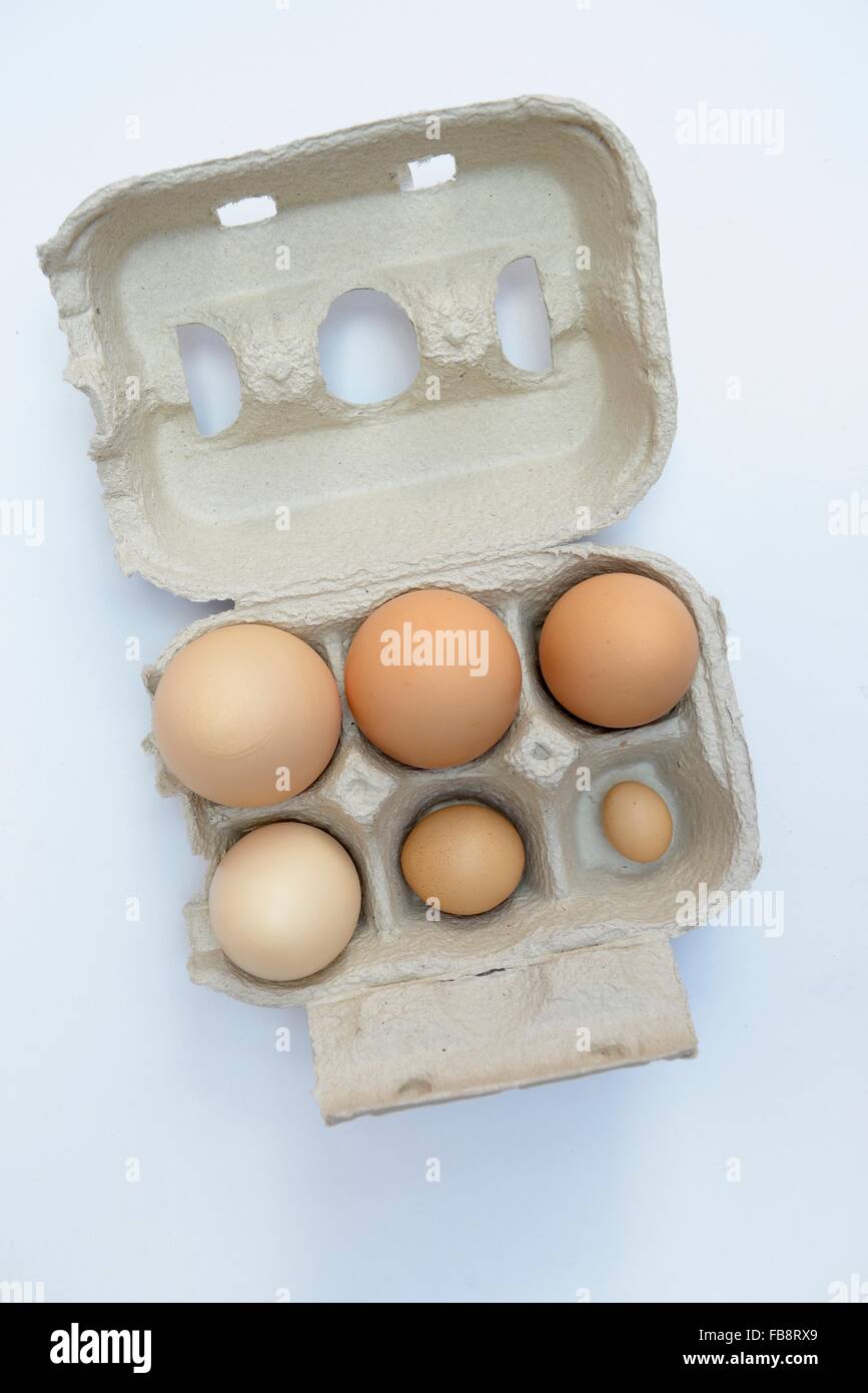 Ten brown eggs in a carton package Image ID73772782 Stock Photo Alamy