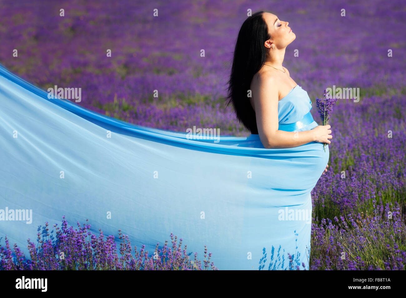 Pregnant woman on lavender field Stock Photo Alamy