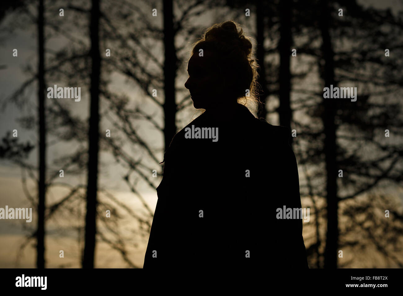 A silhouette of a woman in the wilderness of a forest Stock Photo - Alamy