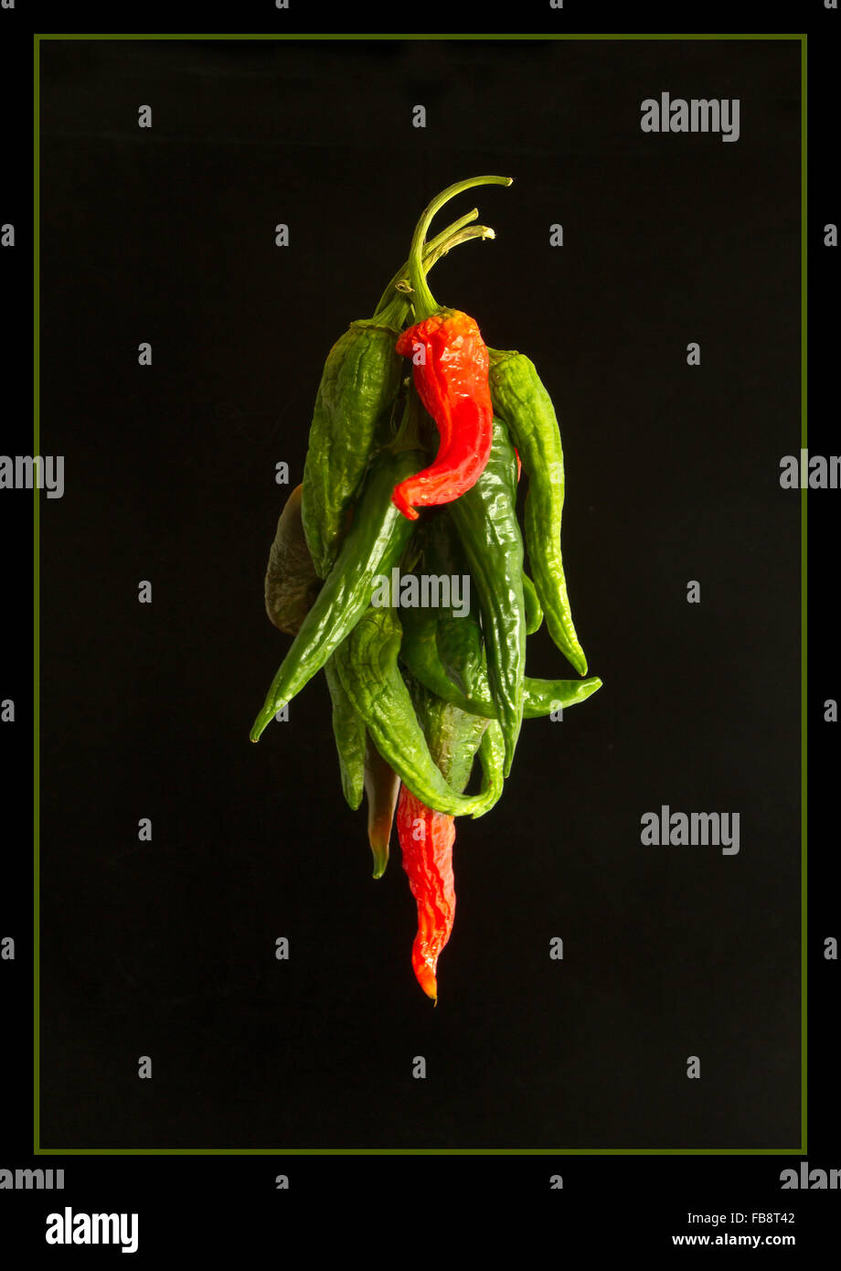 Drying the Chillies. Stock Photo