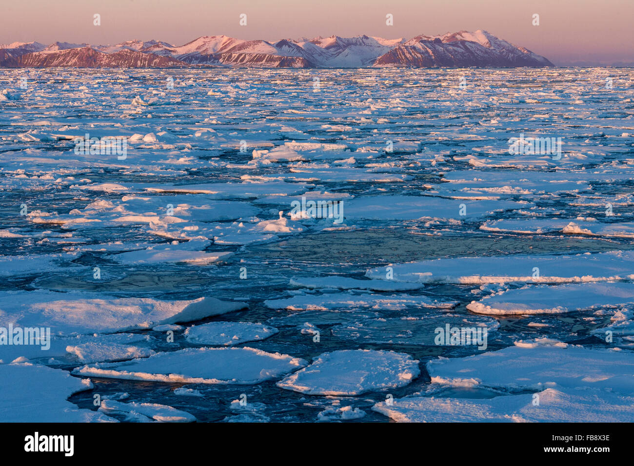 Sea ice off the coast of eastern Greenland. Stock Photo