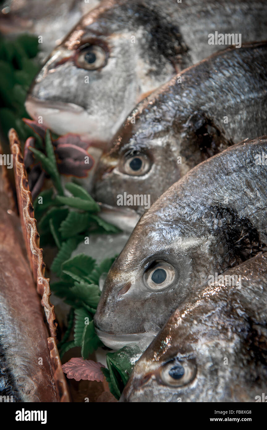Fishmongers shop hires stock photography and images Alamy