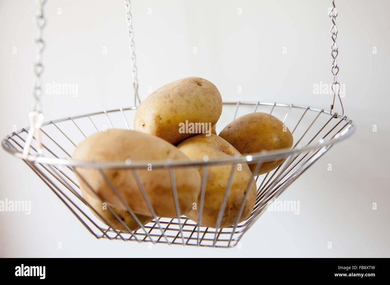 Organic potatoes in a wire hanging basket in the sunlight from a window