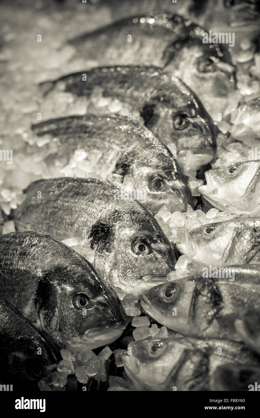 Fishmongers shop hires stock photography and images Alamy