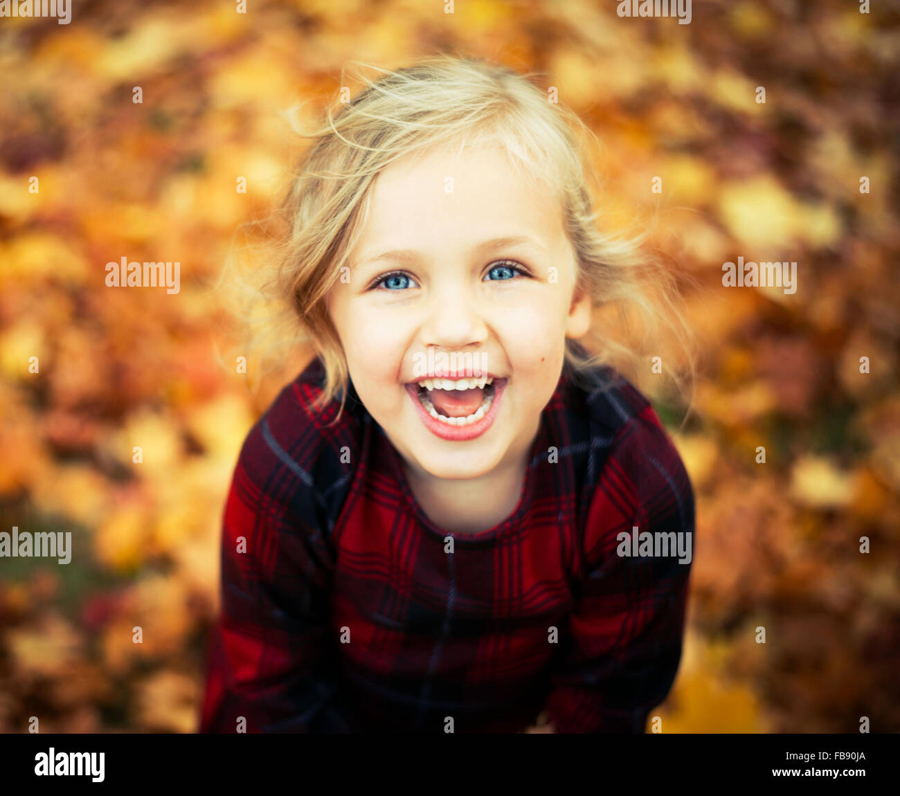 Cute blue eyed blonde haired girl laughing against autumn colours. Leaves in the background. checked shirt blond Stock Photo