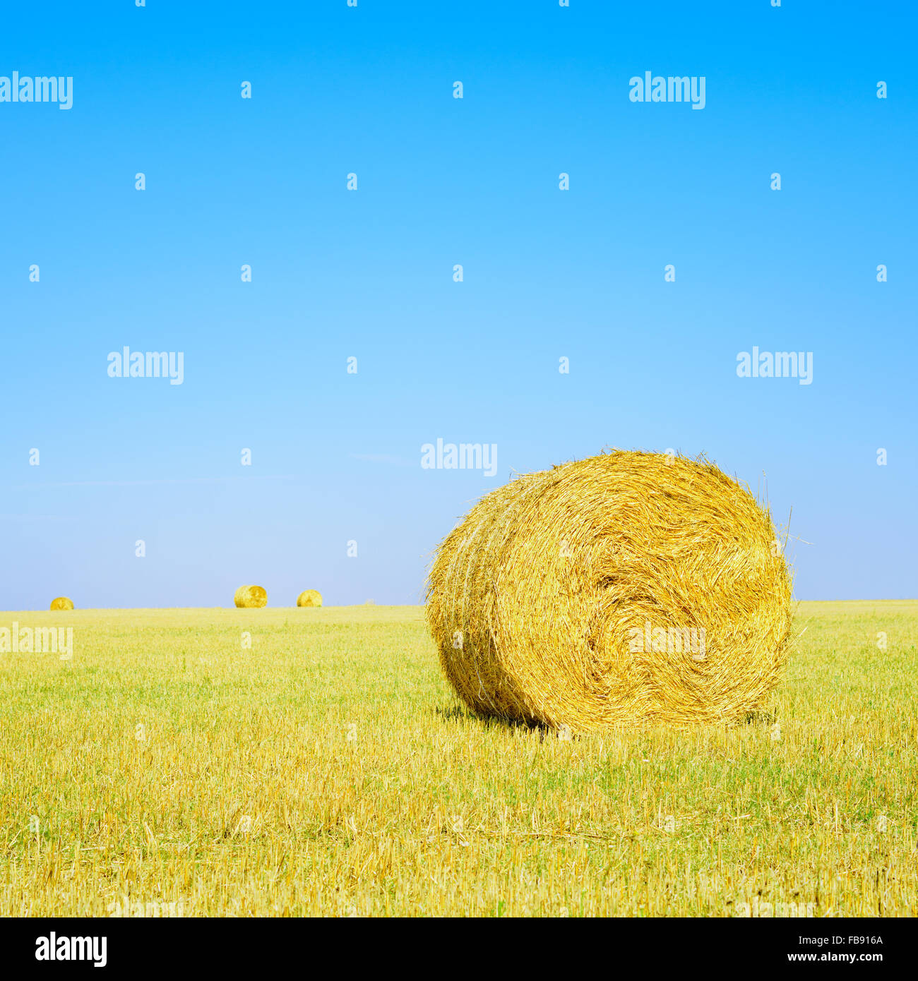 Hay roll, blue sky and yellow field in summertime. Tuscany, Italy Stock Photo