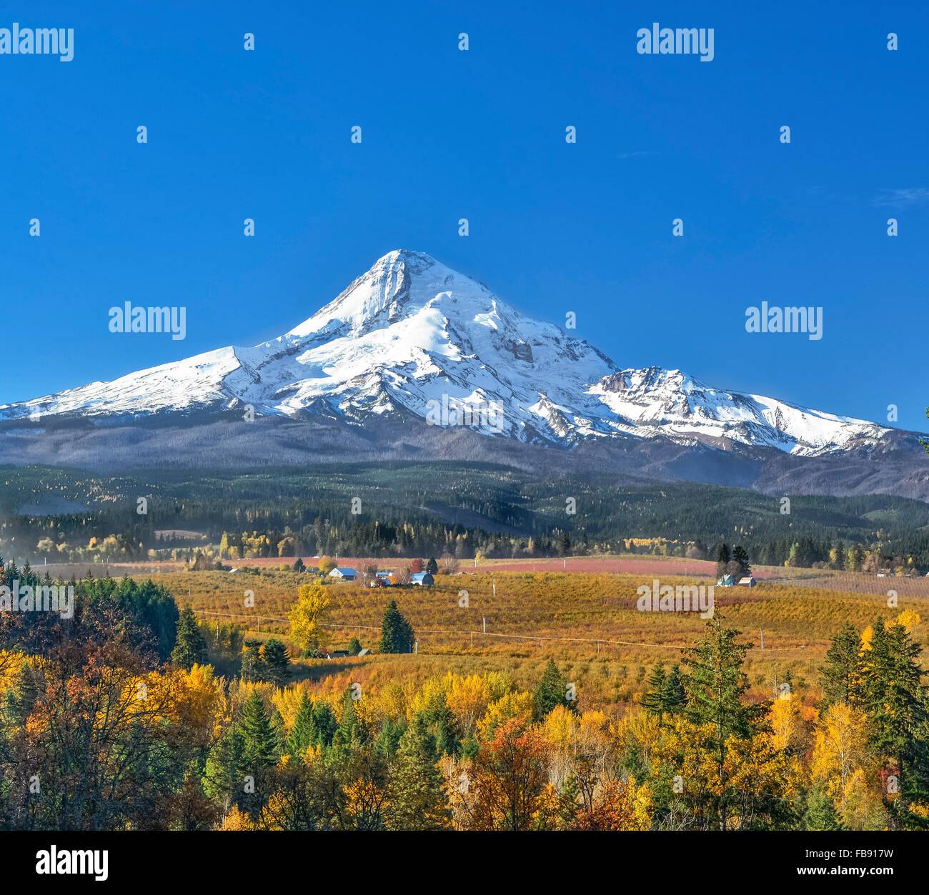 Mount Hood and valley view from Mount Hood Organic Farms, Hood River Valley, Oregon. Stock Photo
