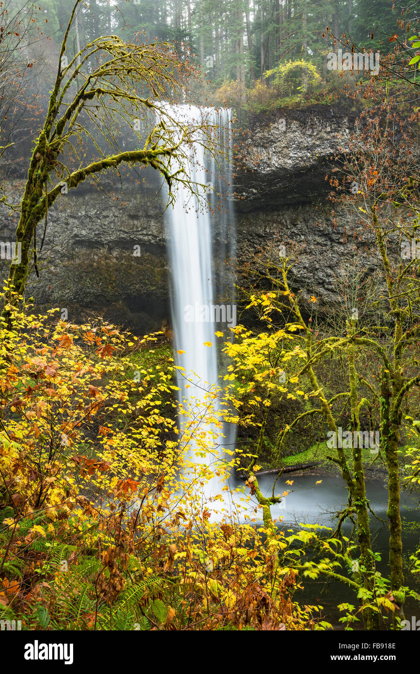 South Falls, Silver Falls State Park, Oregon. Stock Photo