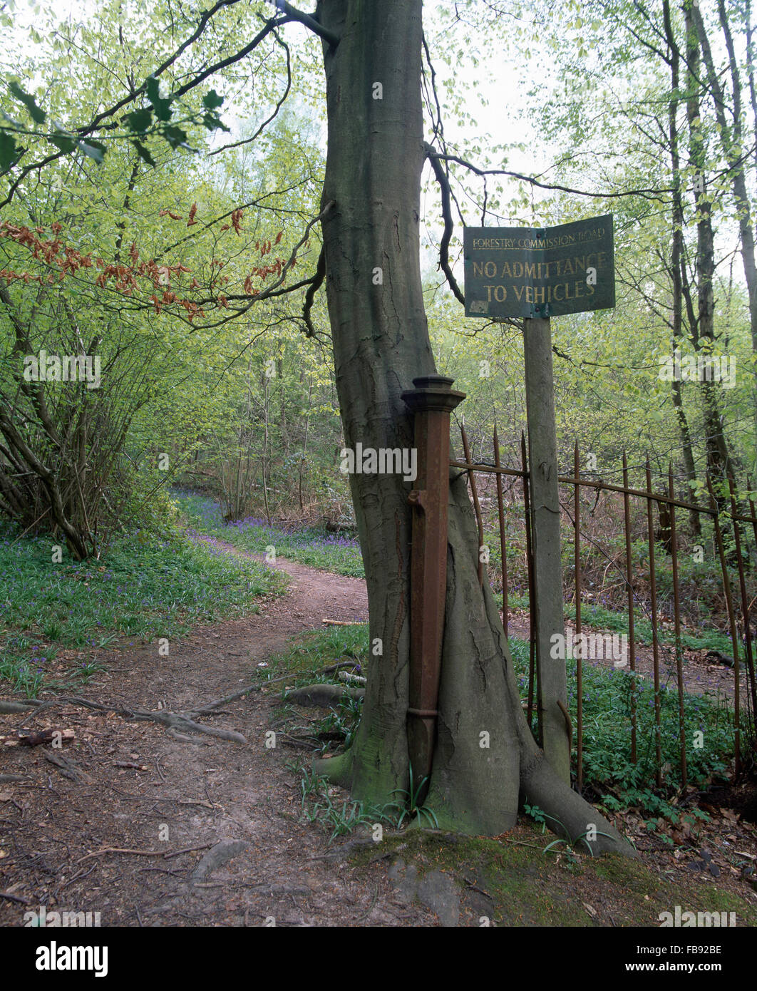 Spring scenic path hi-res stock photography and images - Alamy