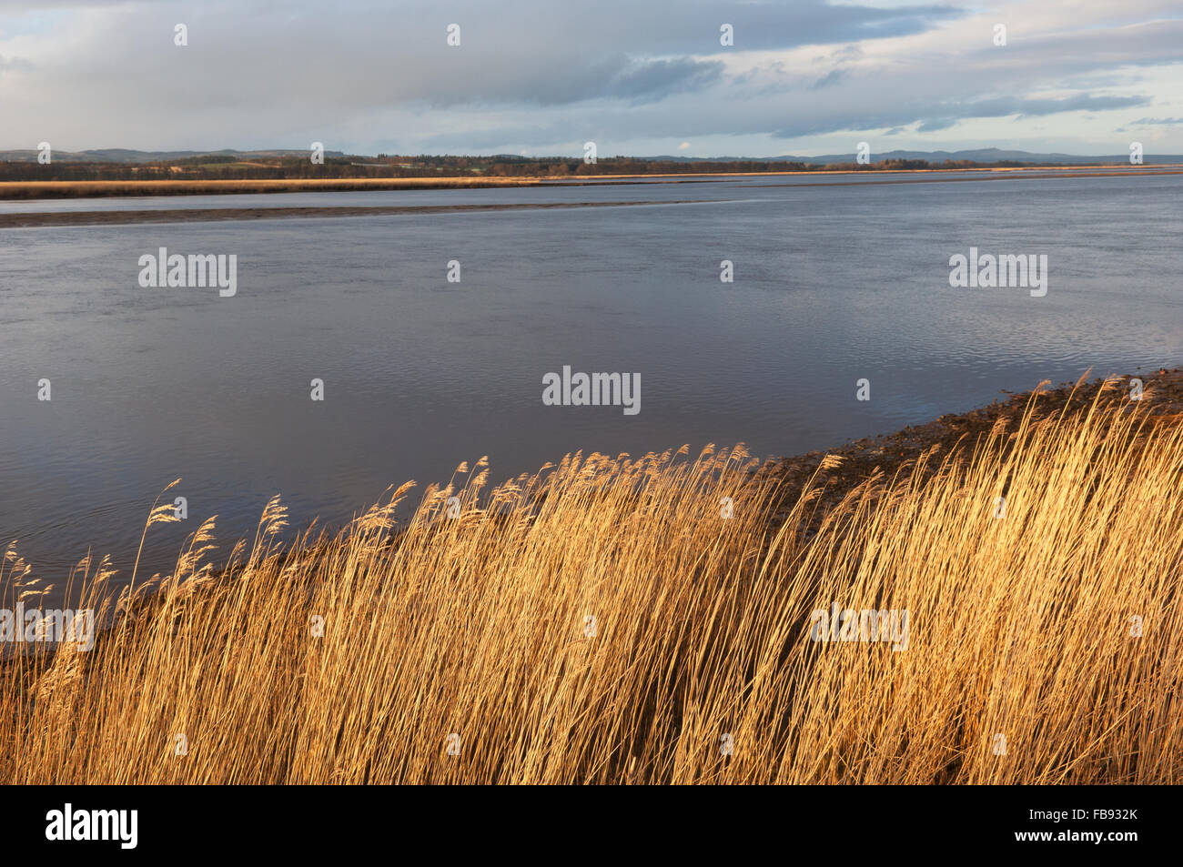 The Firth of Tay at Newburgh in Fife, Scotland. Stock Photo