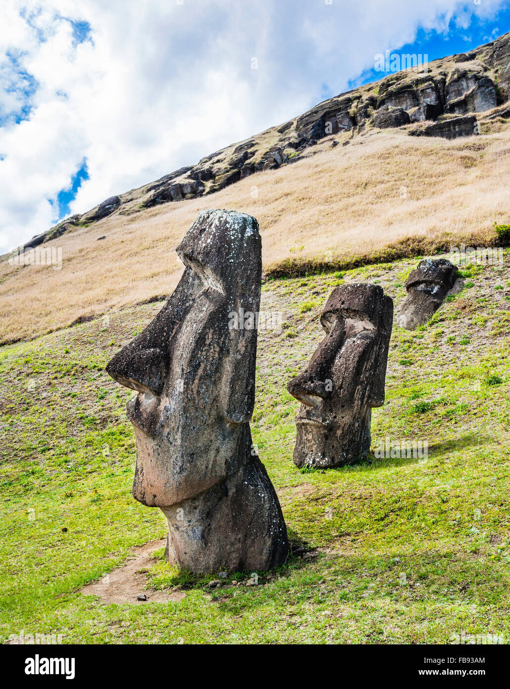 Chile, Easter Island, Rapa Nui, moai heads on the crater slopes of Rano