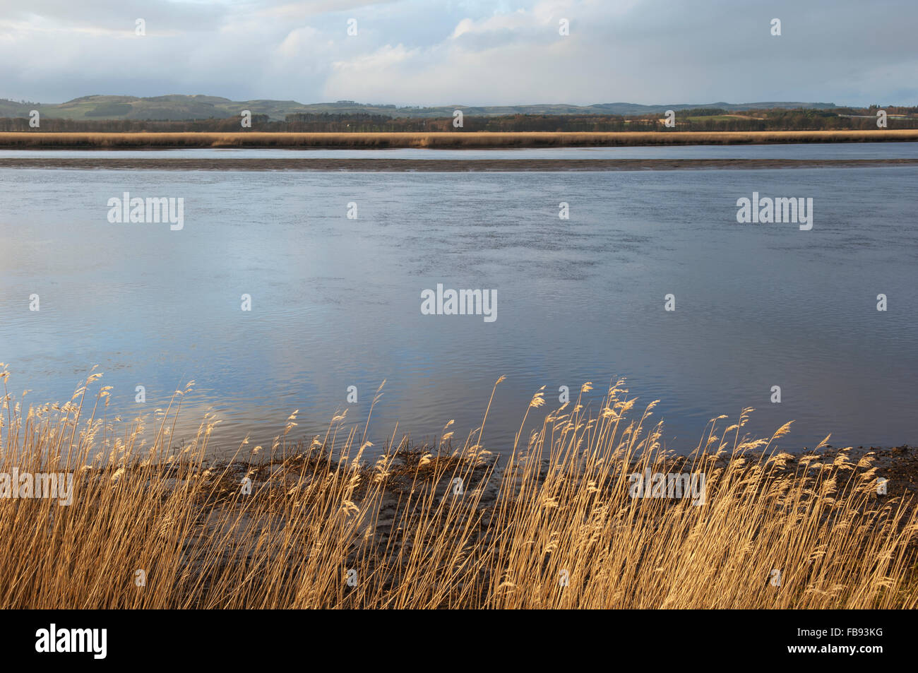 The Firth of Tay at Newburgh in Fife, Scotland. Stock Photo