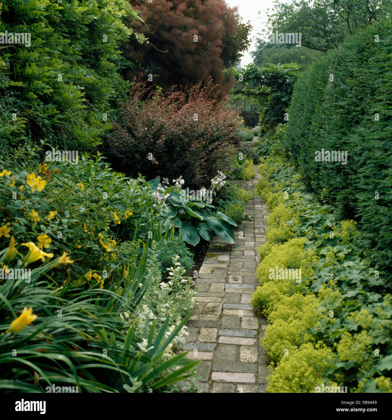 Paved path through borders with yellow Hemerocallis and lime green Alchemilla Mollis in a large country garden Stock Photo
