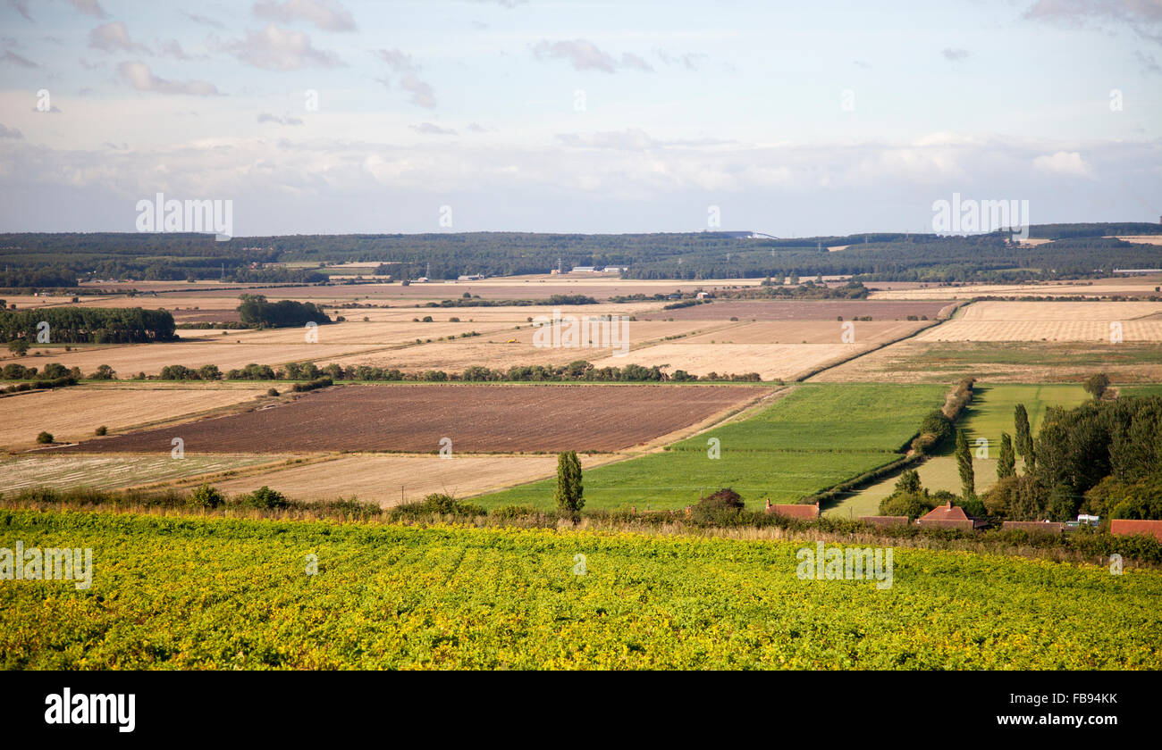 River Ancholme Valley, North Lincolnshire, arable, Broughton Woods, Stock Photo