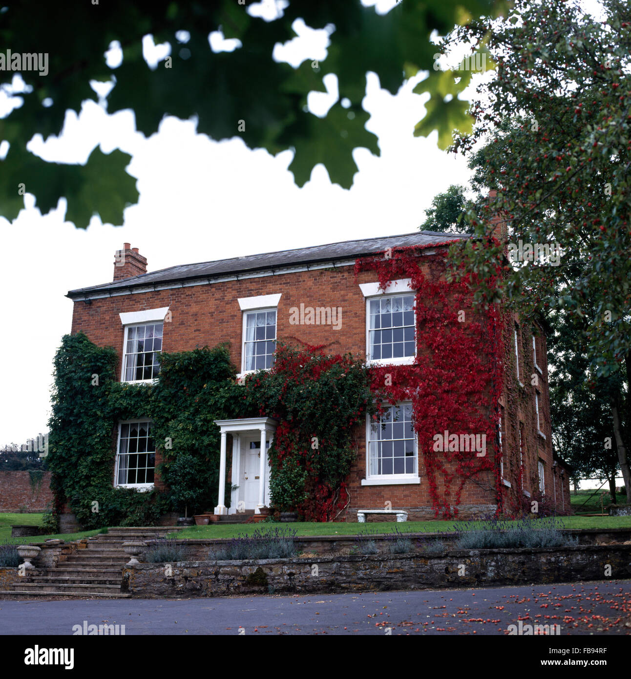 Exterior of a detached Victorian house with Virginia creeper growing on