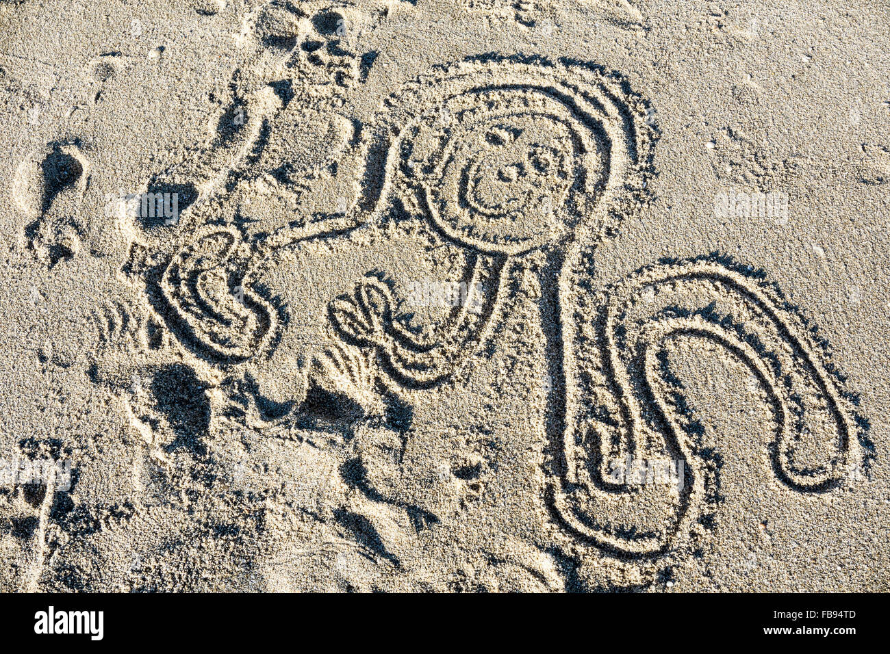 child's drawing of happy face octopus with long tentacles in sand at Playa las Conchas Puerto Penasco Stock Photo