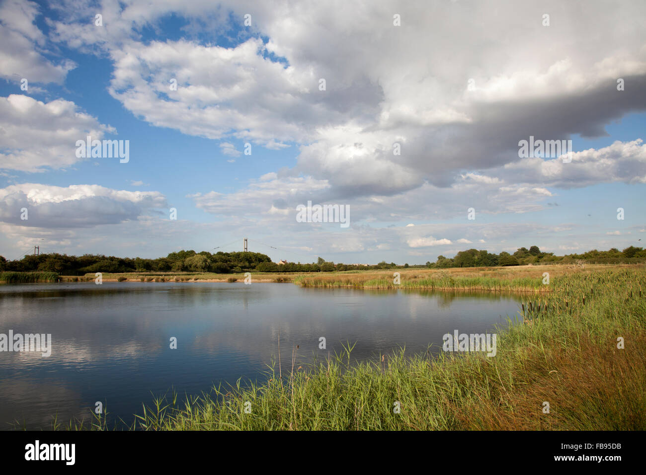Far Ings NNR, Barton - on Humber, reedbeds, Humber Bridge, Nature Reserve, old clay pits, Stock Photo