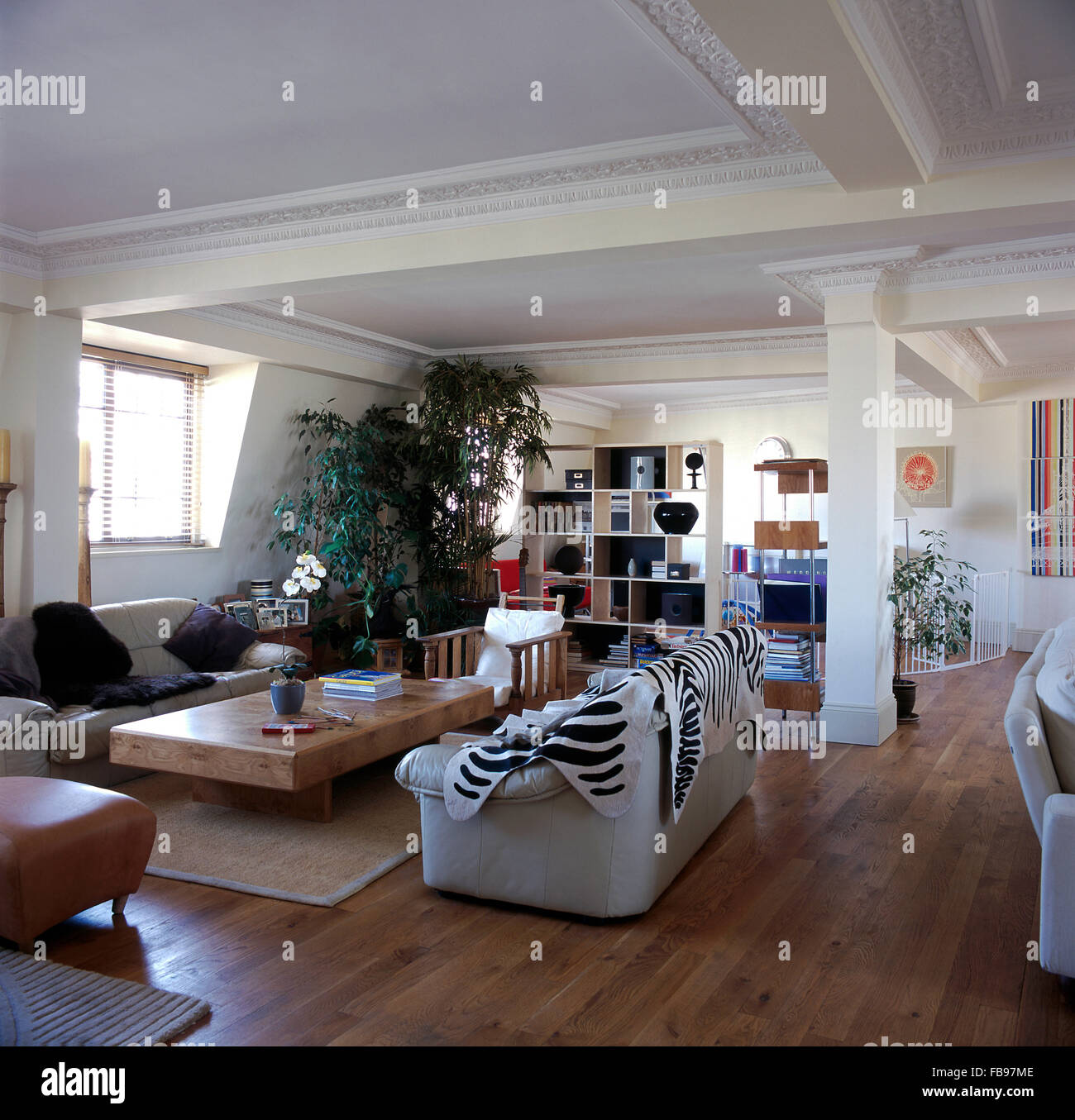 Zebra skin rug on white sofa in living area in open plan city