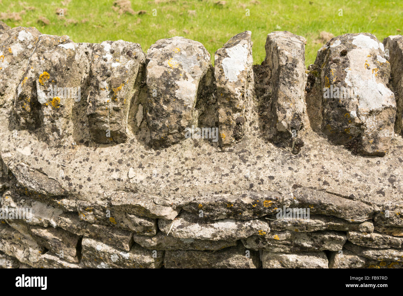 Traditional dry stone wall in cotswolds village, England Stock Photo