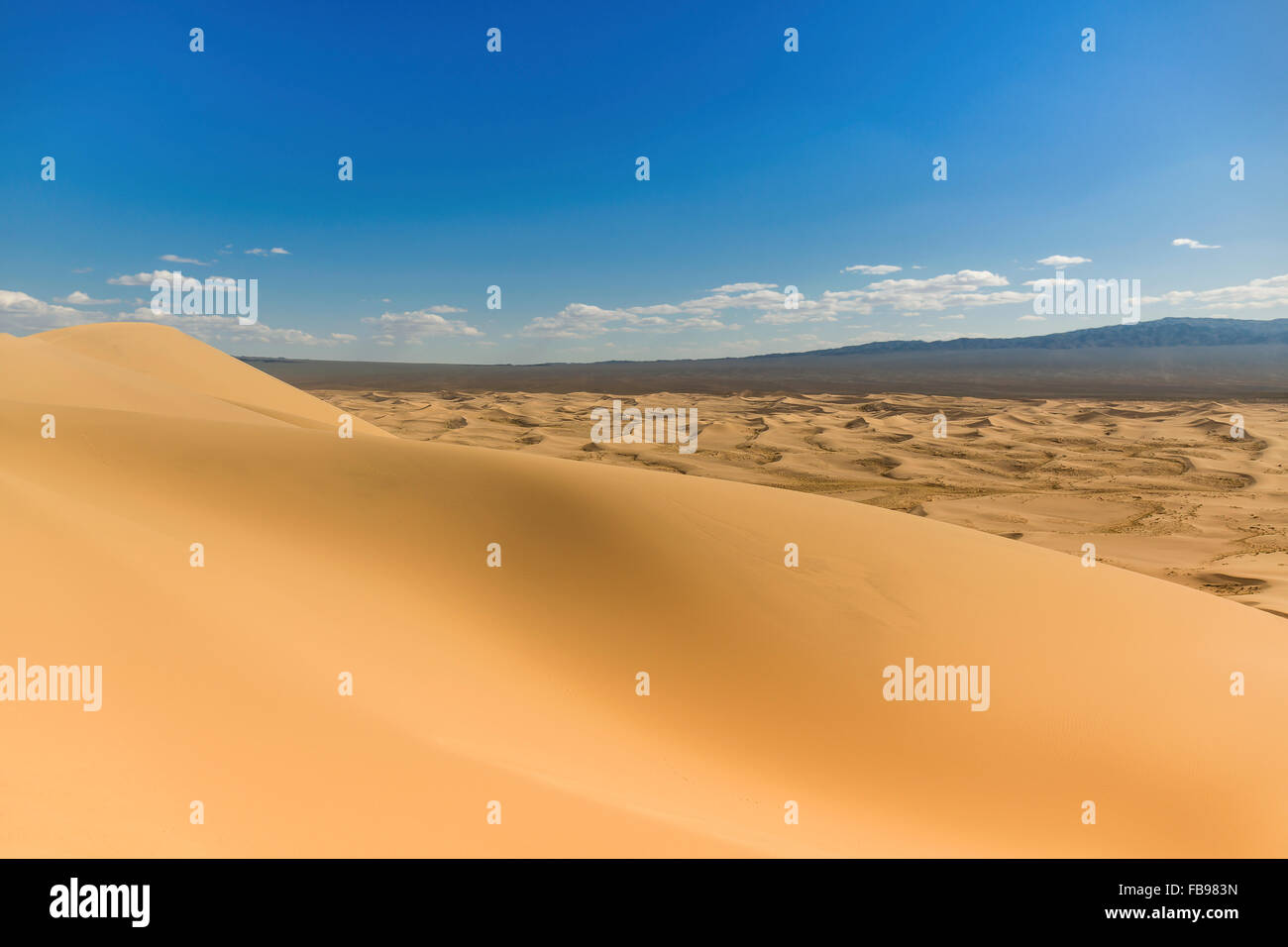 Singing Sand Dunes of the Gobi Desert in Mongolia Stock Photo