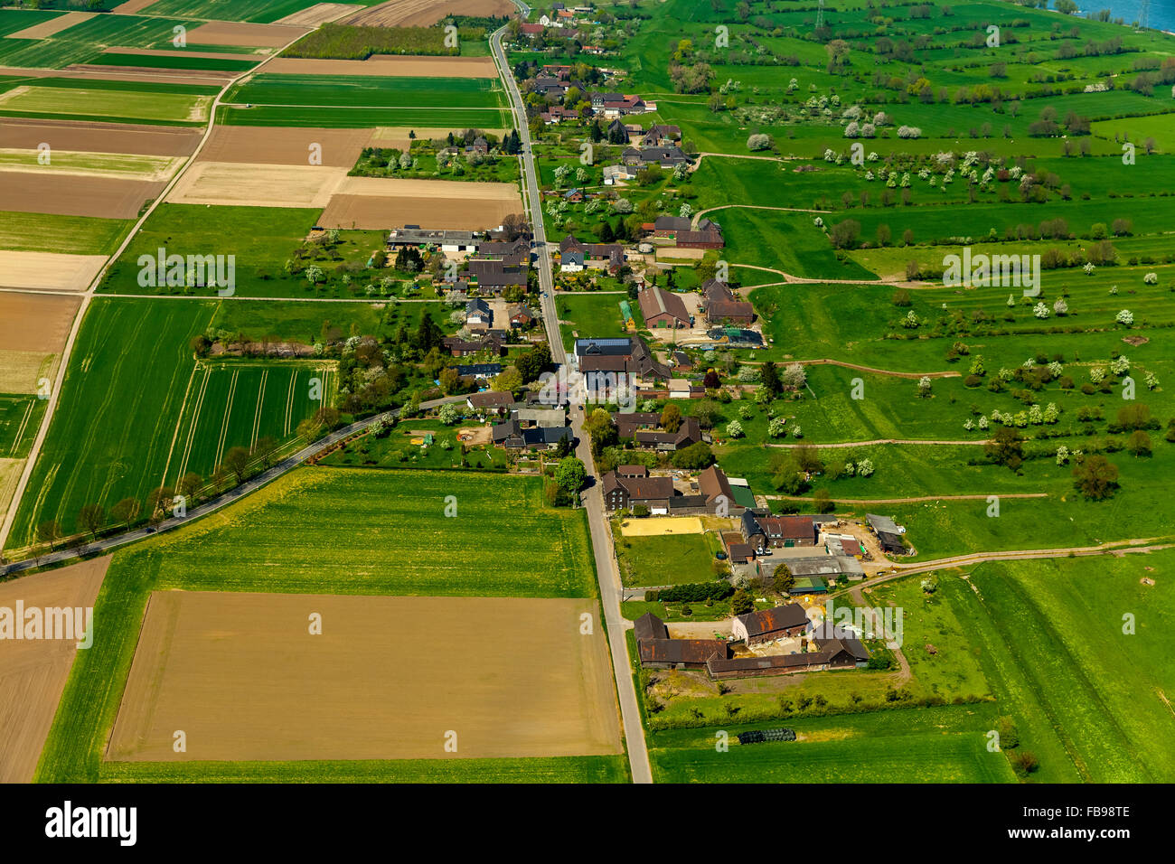 Aerial view, Rheinauen Binsheimer Feld  with the Binsheim Straße and Binsheim, behind the bins Heimer Rheindamm, Duisburg, Stock Photo