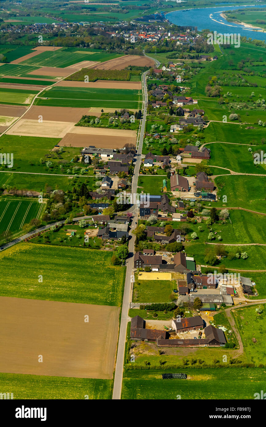 Aerial view, Rheinauen bins Feld with the bins Straße and Binsheim, behind the bins Heimer Rheindamm, Duisburg, Stock Photo