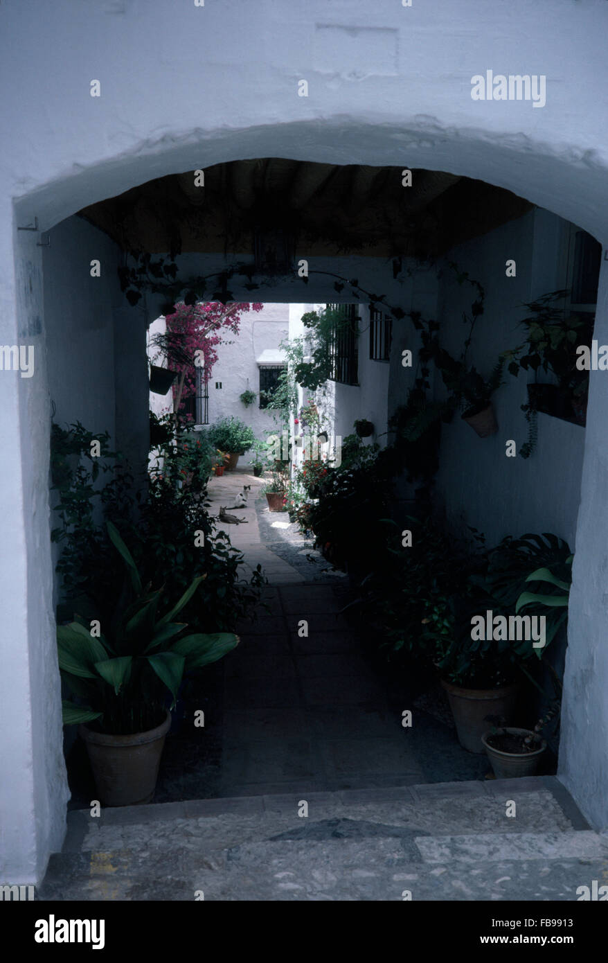 Spanish courtyard hi-res stock photography and images - Alamy