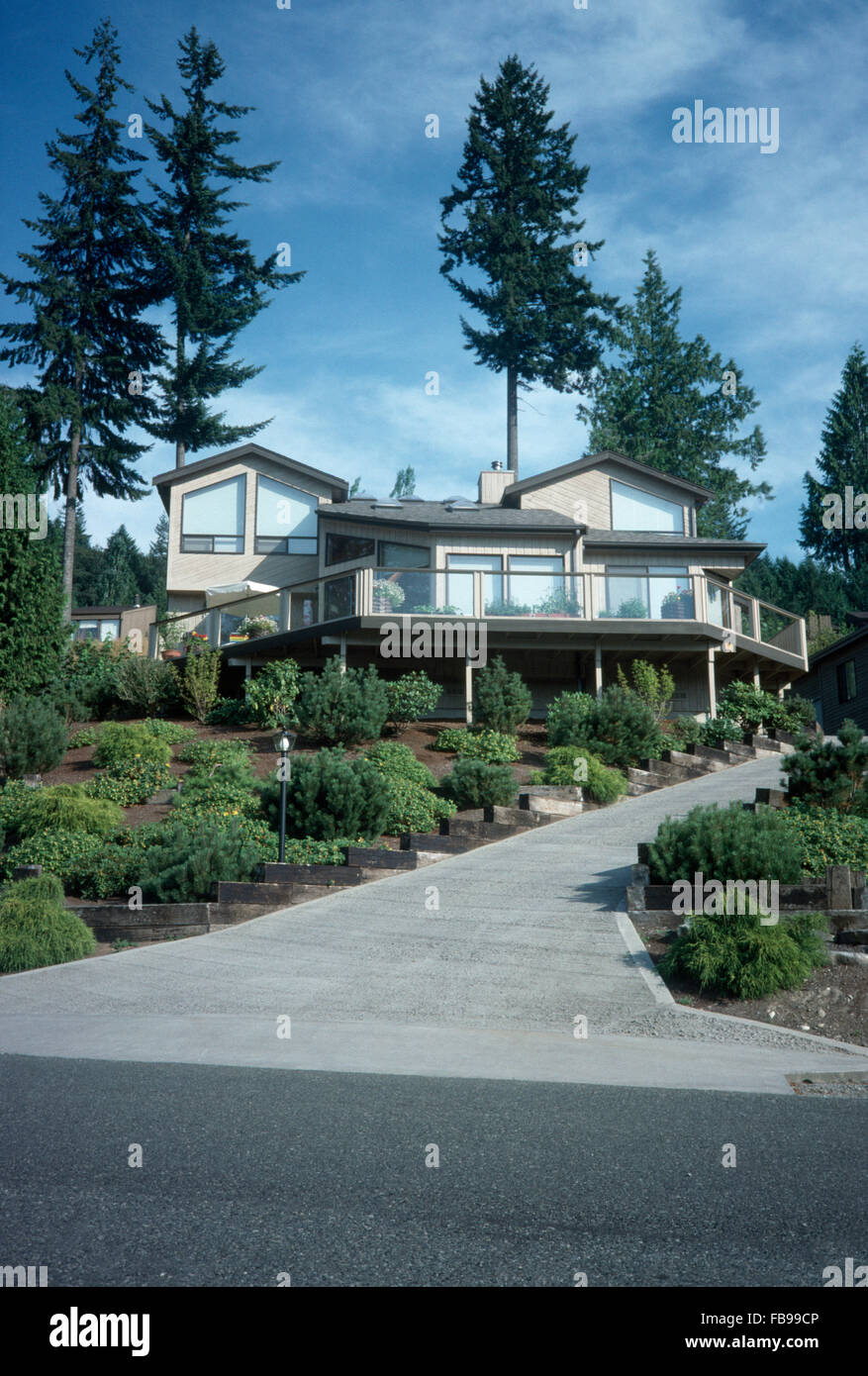 Exterior of a modern North American house with a paved path through neat borders with low growing green shrubs Stock Photo